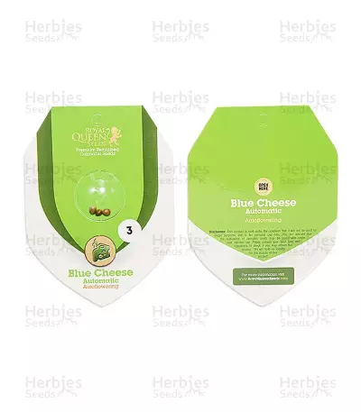Blue Cheese Automatic (RQS) Cannabis-Samen