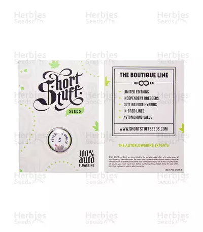 Auto Purple Gorilla (Short Stuff Seeds) Cannabis-Samen