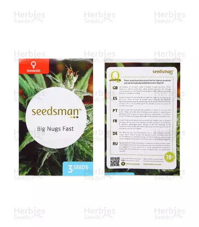 Big Nugs Fast (Seedsman Seeds) Cannabis-Samen