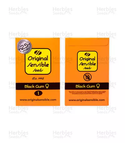 Black Gum (Original Sensible Seeds) Cannabis-Samen