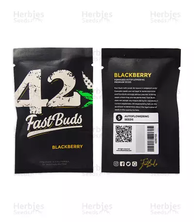 Blackberry Auto feminisierte Samen (Fast Buds)