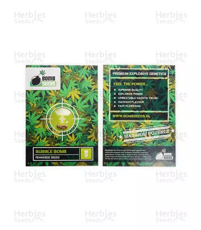 Bubble Bomb (Bomb Seeds) Cannabis-Samen