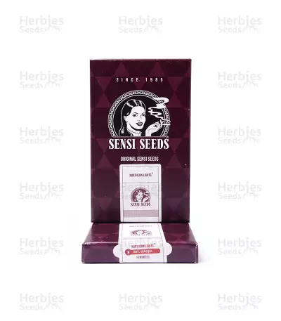 Northern Lights (Sensi Seeds) Cannabis-Samen