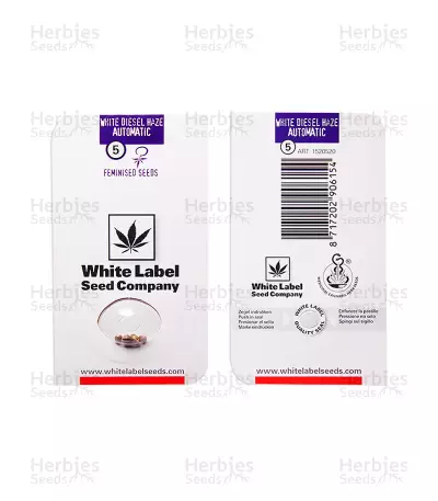 White Diesel Haze Automatic (White Label) Cannabis-Samen