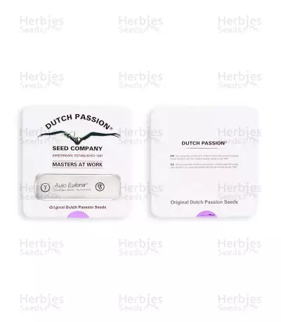 Auto Euforia (Dutch Passion) Cannabis-Samen