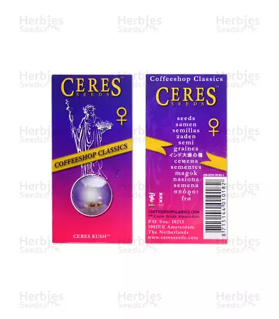 Ceres Kush regular (Ceres Seeds) Cannabis-Samen