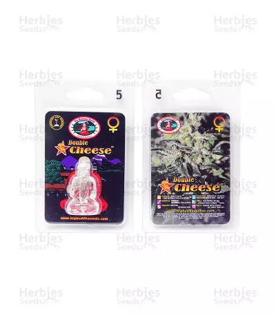 Double Cheese (Big Buddha Seeds) Cannabis-Samen