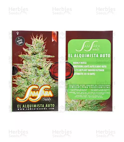 El Alquimista Auto (Samsara Seeds) Cannabis-Samen