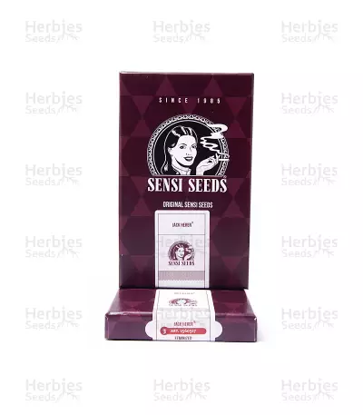 Jack Herer (Sensi Seeds) Cannabis-Samen