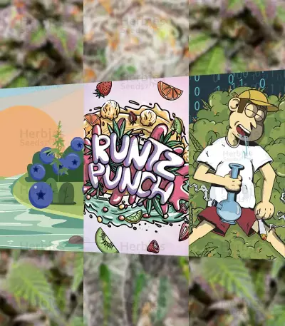 Fem Mix Pack #1 feminisiertes Saatgut von Herbies Seeds