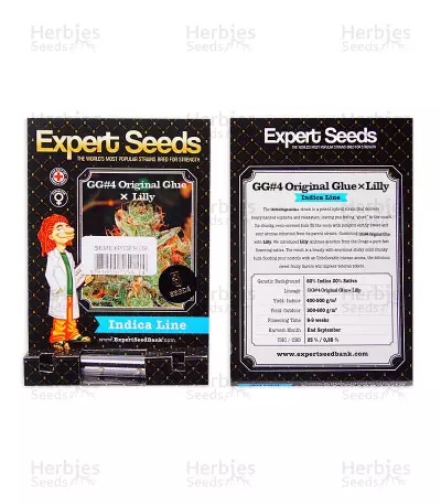 Gorilla x Lilly (Expert Seeds) Cannabis-Samen