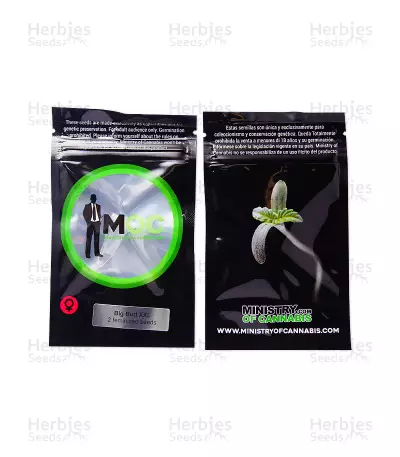 Big Bud XXL (Ministry Of Cannabis) Cannabis-Samen