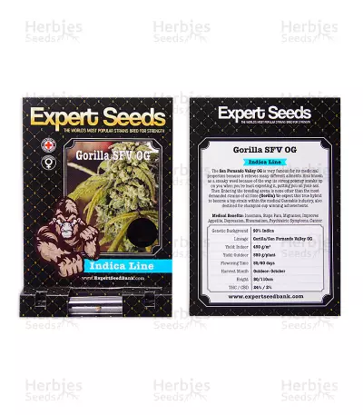 Gorilla SFV OG (Expert Seeds) Cannabis-Samen