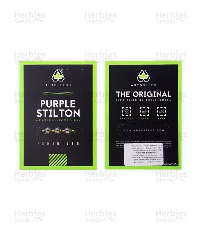 Purple Stilton Auto (Auto Seeds) Cannabis-Samen