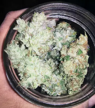 GG#4 Original Glue (Blackskull Seeds) Cannabis-Samen