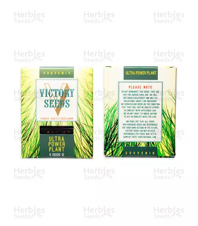 Ultra Power Plant (Victory Seeds) Cannabis-Samen