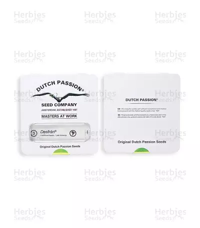 Desfrán (Dutch Passion) Cannabis-Samen