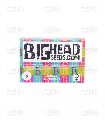 Bruce Banner #3 (Big Head Seeds) Cannabis-Samen