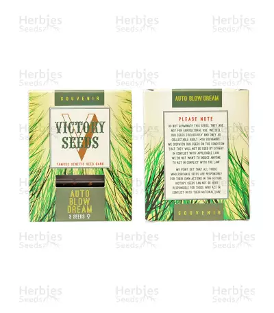 Auto Blow Dream (Victory Seeds) Cannabis-Samen