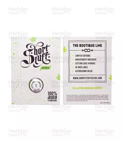 Auto Gorilla Shizzle (Short Stuff Seeds) Cannabis-Samen