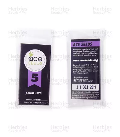 Bangi Haze (Ace Seeds) Cannabis-Samen
