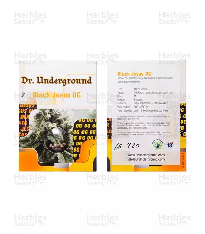 Black Jesus OG (Dr Underground) Cannabis-Samen