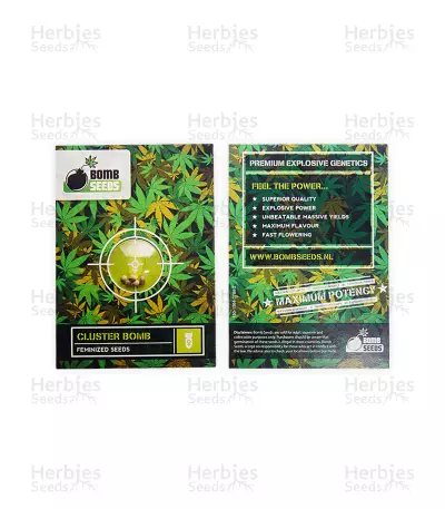 Cluster Bomb (Bomb Seeds)