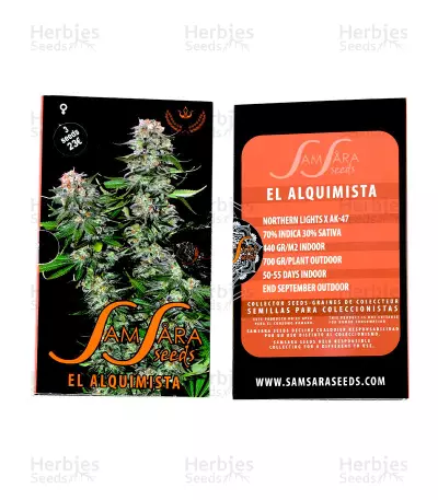 El Alquimista (Samsara Seeds) Cannabis-Samen