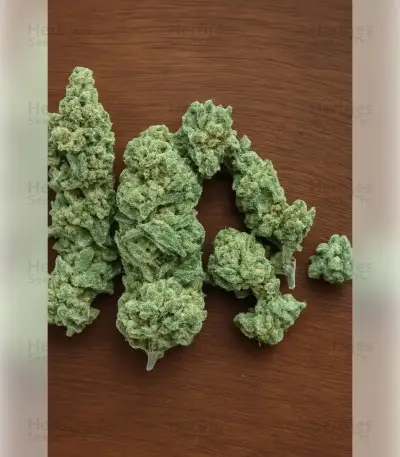 Northern Light Automatic (RQS) Cannabis-Samen