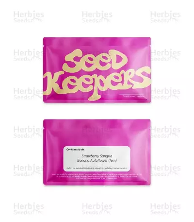 Strawberry Sangria Banana Autoflower (Seedkeepers)