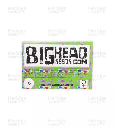 Trippy Gorilla Autoflowering (Big Head Seeds) Cannabis-Samen