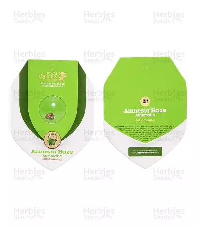Amnesia Haze Automatic (RQS) Cannabis-Samen