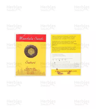 Satori regular (Mandala Seeds) Cannabis-Samen