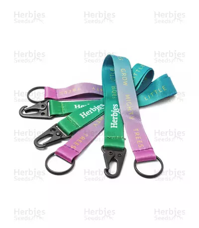 Schlüsselband (Herbies)
