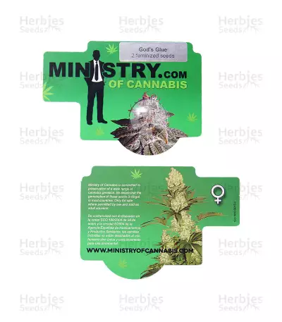 God's Glue (Ministry Of Cannabis) Cannabis-Samen