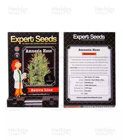 Amnesia Haze (Expert Seeds) Cannabis-Samen