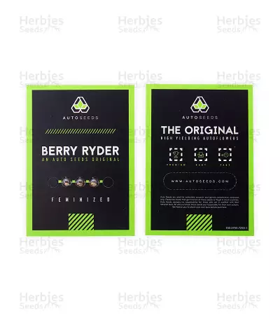 Berry Ryder Auto (Auto Seeds) Cannabis-Samen