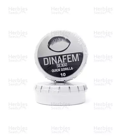 Quick Gorilla (Dinafem Seeds) Cannabis-Samen