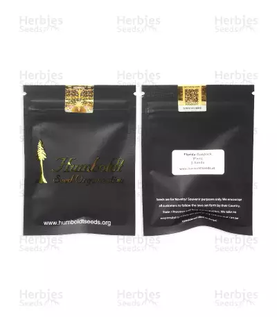Florida Gaspack Samen feminisiert (Humboldt Seeds Organization)