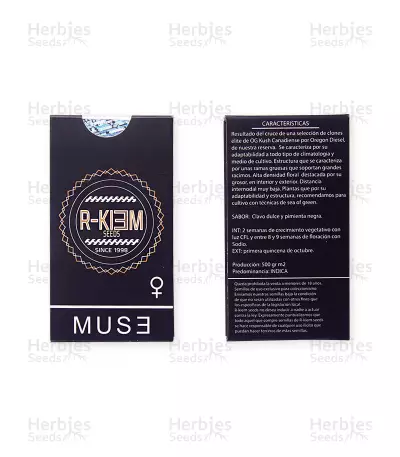 Muse (R Kiem Seeds) Cannabis-Samen