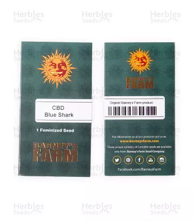 CBD Blue Shark (Barney's Farm) Cannabis-Samen