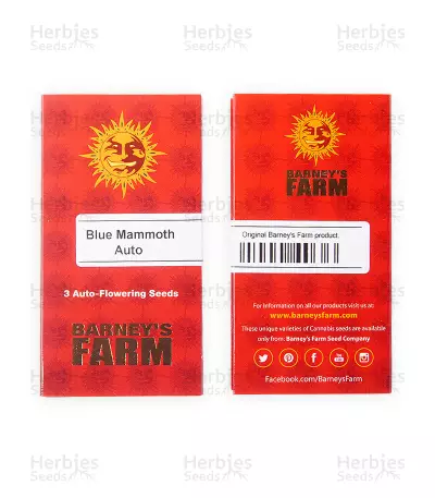 Blue Mammoth strain seeds