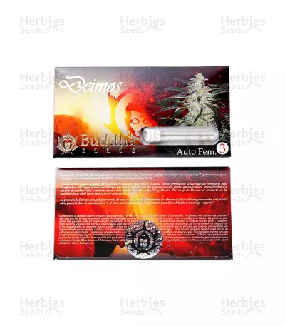 Buddha Deimos Auto (Buddha Seeds) Cannabis-Samen