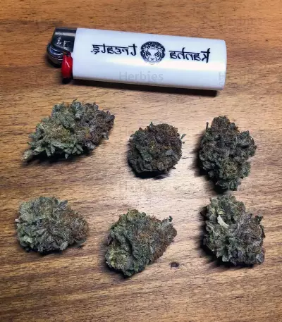 Z (Original Sensible Seeds) Cannabis-Samen