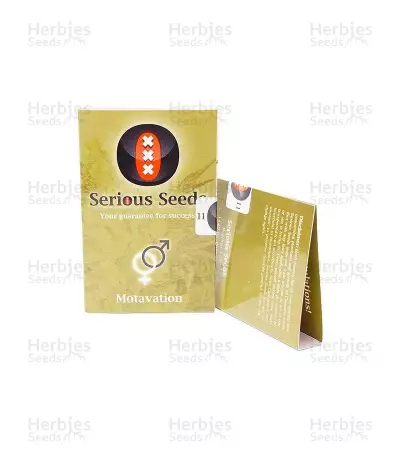 Motavation regular (Serious Seeds) Cannabis-Samen