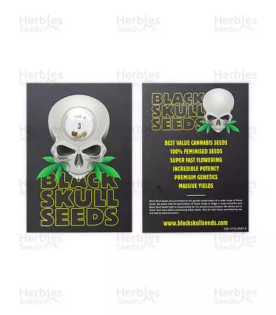 Five-O (Blackskull Seeds) Cannabis-Samen