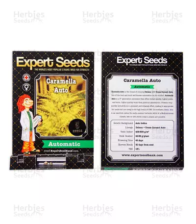 Caramella Auto (Expert Seeds)