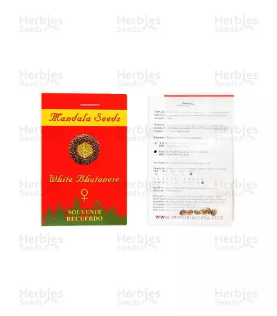 White Bhutanese (Mandala Seeds) Cannabis-Samen