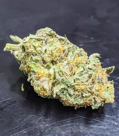 Dozy Cookies feminisierte Samen (AlphaFem Seeds)