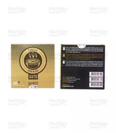Tangie Auto (BlimBurn Seeds) Cannabis-Samen